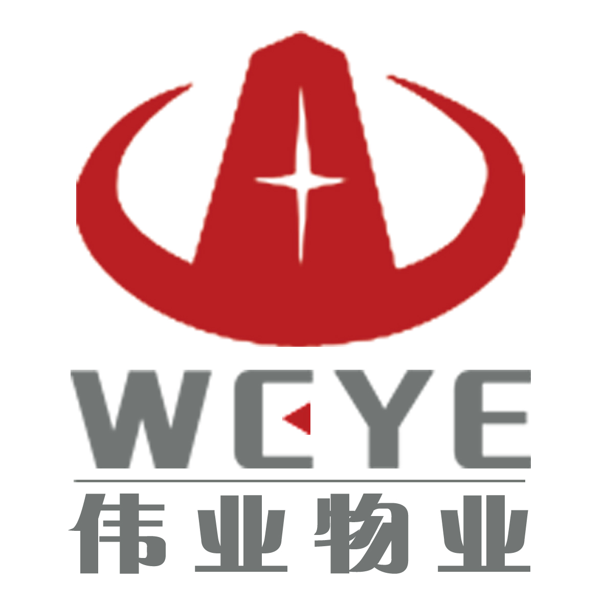 西寧偉業(yè)物業(yè)管理有限公司